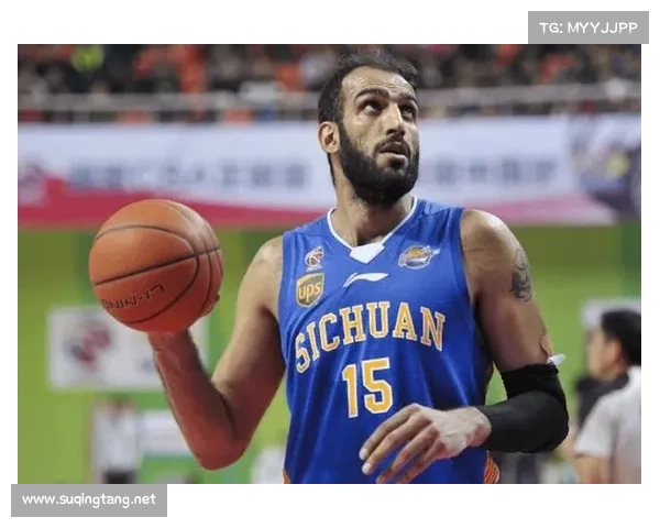 哈达迪在退役与继续征战之间的徘徊展现老将坚持与时代更替的深思