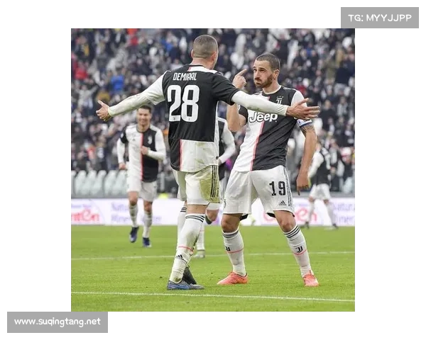 安联赞助商在体育赛事中的品牌影响力及其市场价值分析