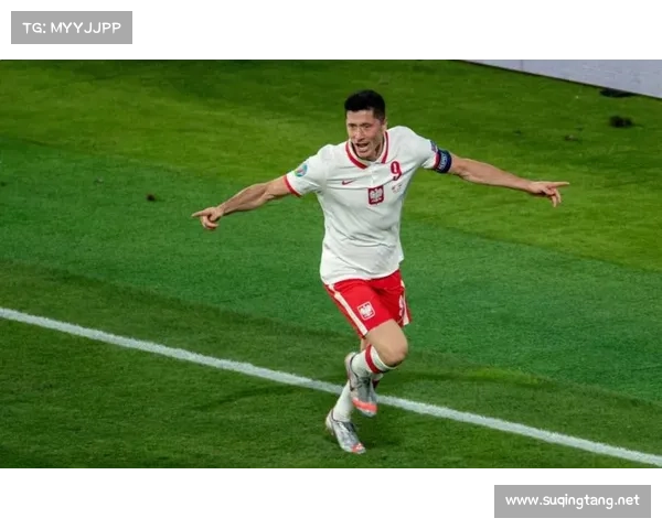 全面解析2023法国对波兰比赛表现与关键胜负因素深度评估全面